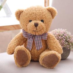 Teddy bear